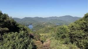 幻灯片-Plnl‘s Blog