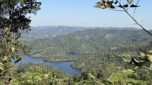 九龙湖公园-Plnl‘s Blog