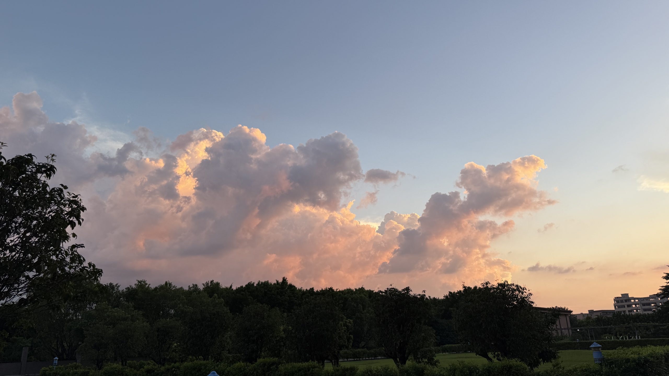 20250815公司晚霞-Plnl‘s Blog