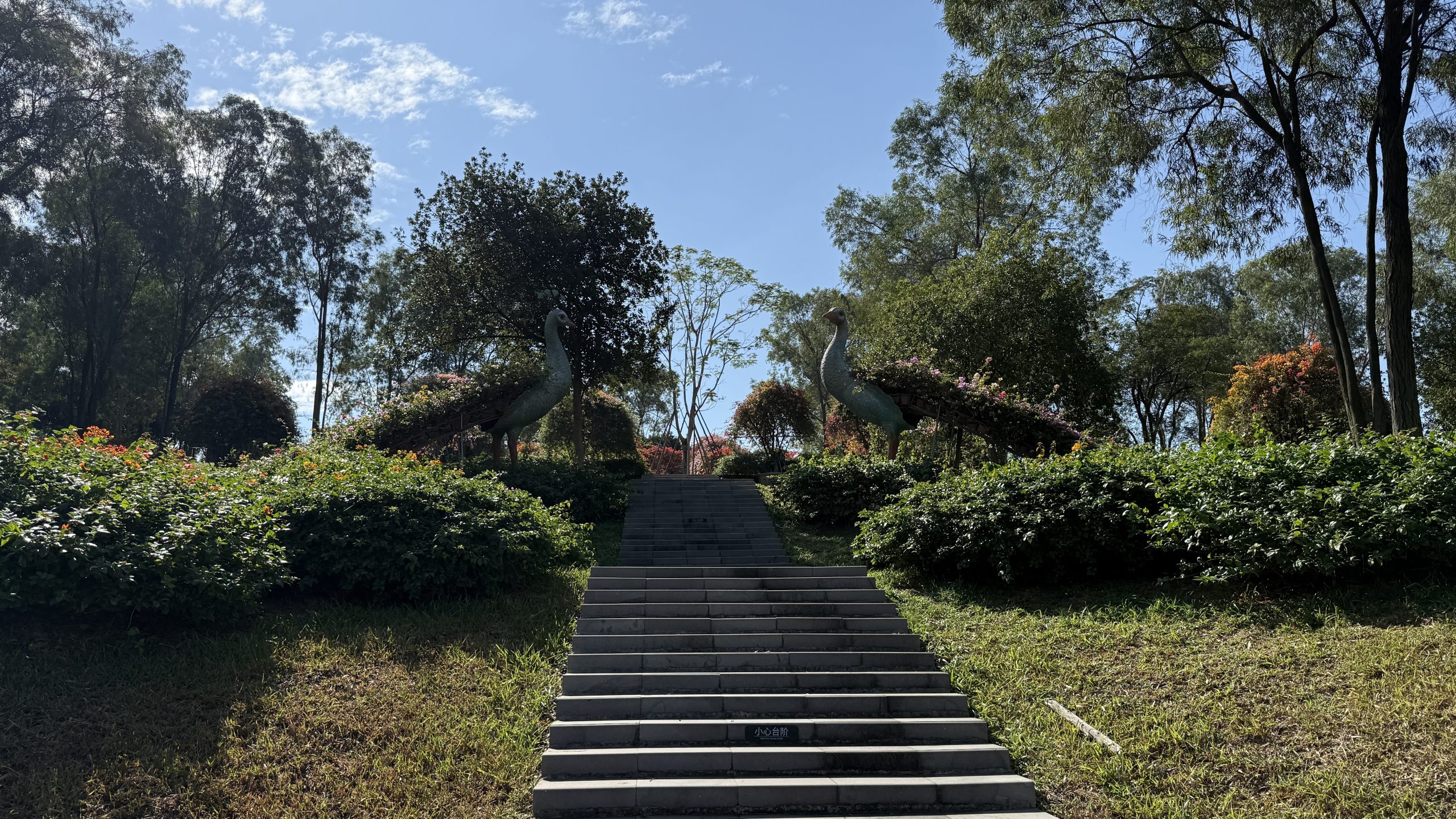 20251116马岭植物园-Plnl‘s Blog